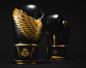 Rękawice Bokserskie BUSHIDO HAWK B-2v17 Active Clima