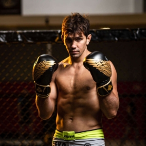 Rękawice Bokserskie BUSHIDO HAWK B-2v17 Active Clima