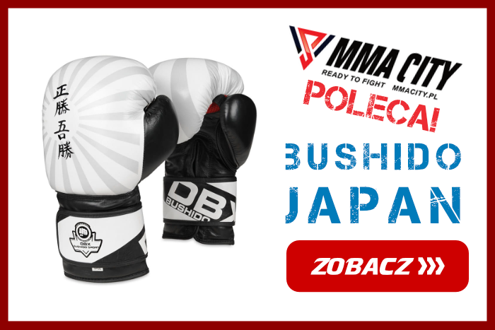 bushido japan