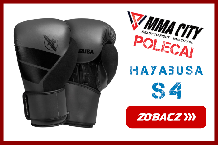 Hayabusa S4