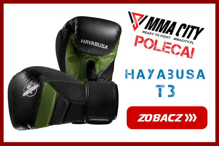 Hayabusa T3