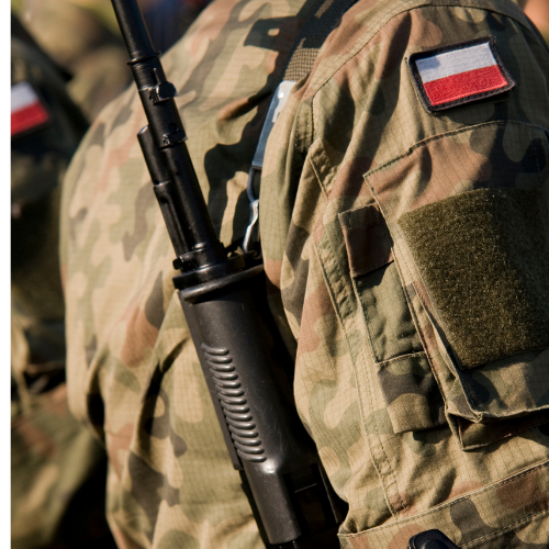 Jak żołnierze Wojska Polskiego uczą się walki w bliskim kontakcie?