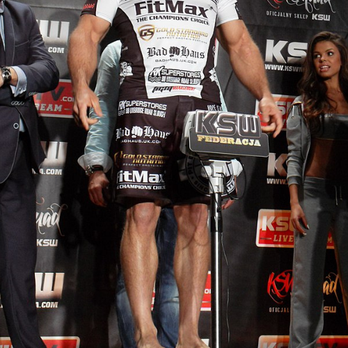 KSW - zasady walki i kategorie wagowe