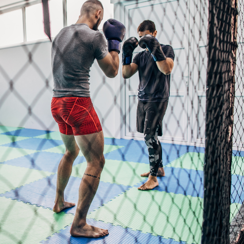 Wiosna - idealny czas, aby zacząć treningi sportów walki